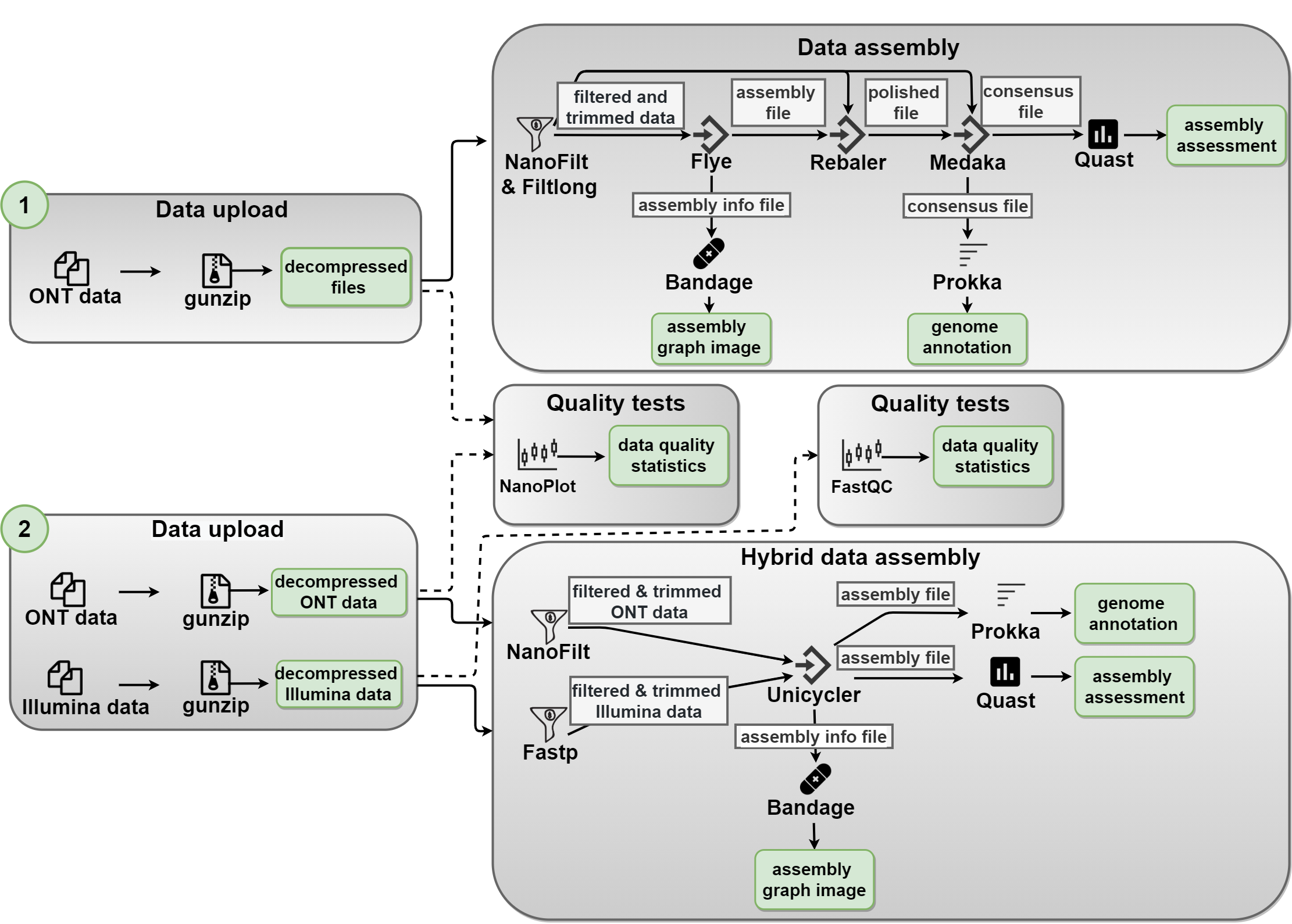 NanoForms pipeline